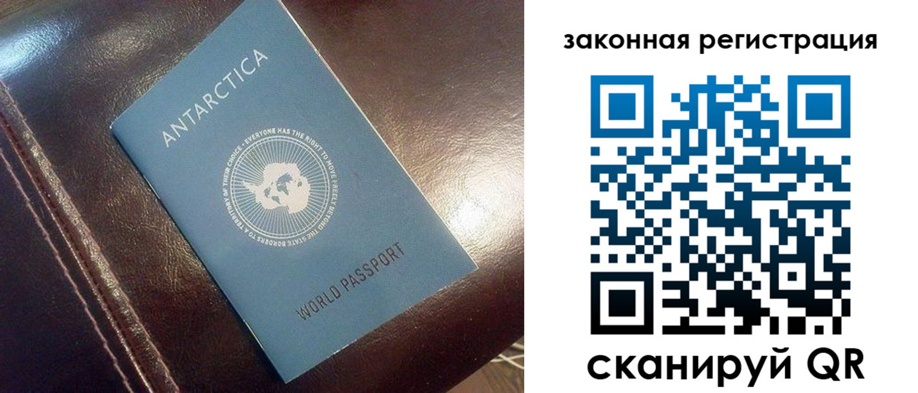 временная регистрация поиск в Светлом
